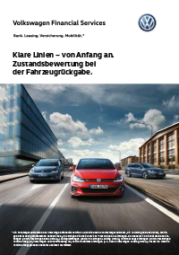 Schadenkatalog_VW